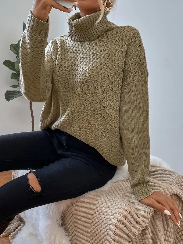 Casual Plain Long Sleeve High Neck Regular Women Sweater Minimalist Women's Casual